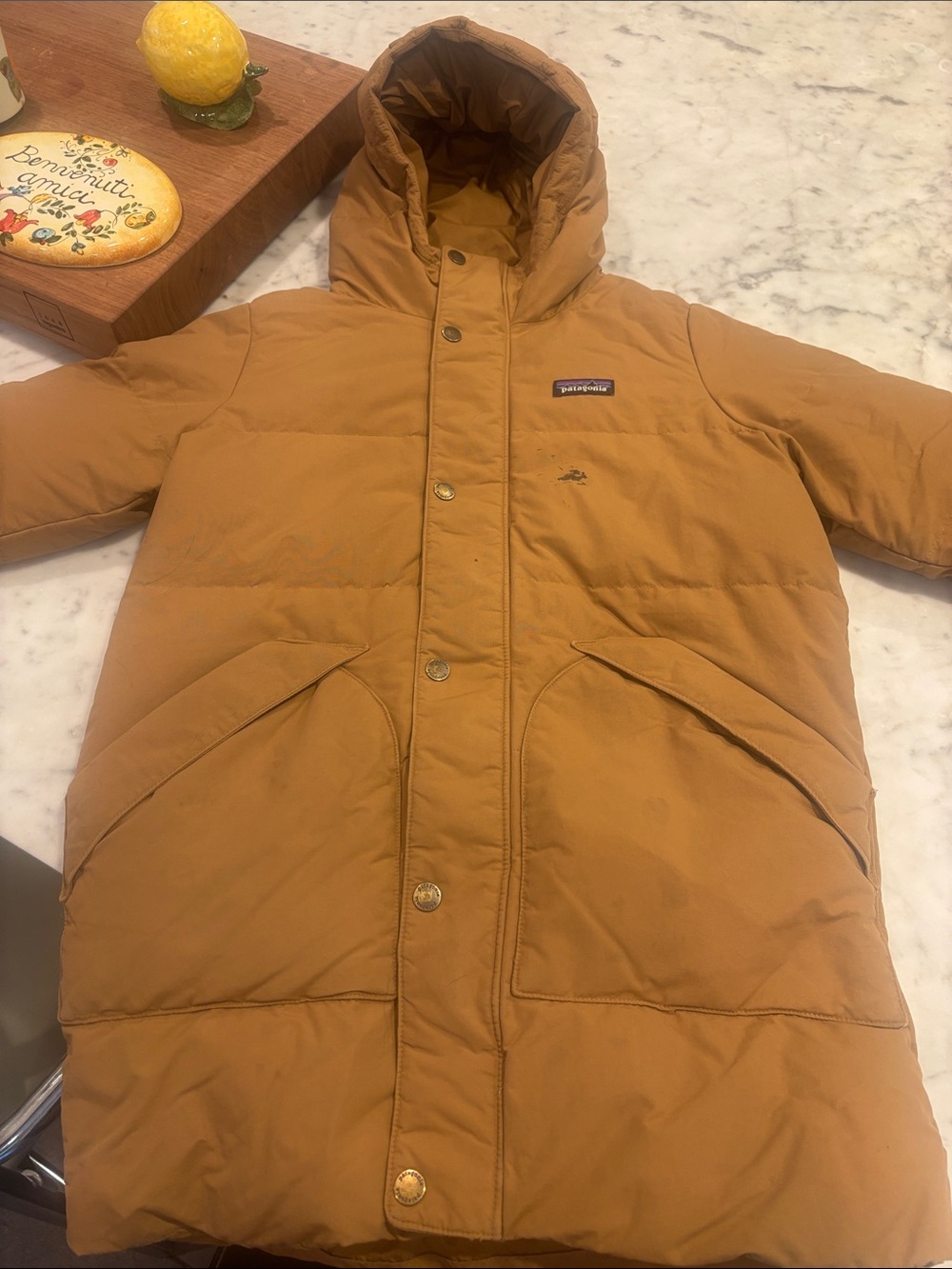 Patagonia Kids Hooded Puffer Coat in Chestnut Brown